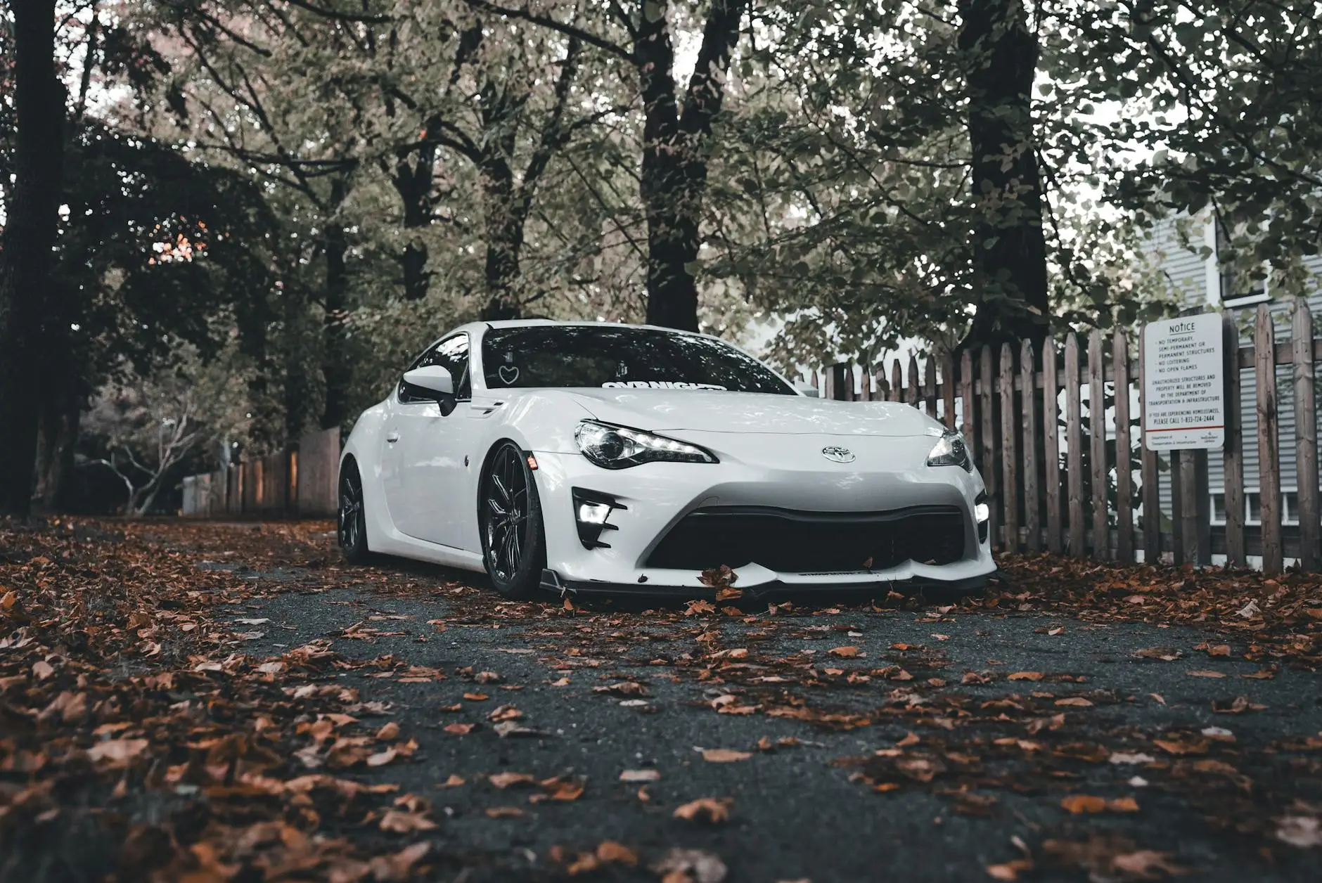 A modern white sports car parked amidst autumn leaves in a serene outdoor setting.